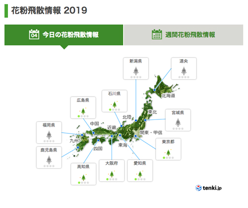 【2019年花粉飛散予測】今年は多め!ピークは3月上旬!いまから準備!